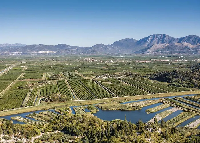 One-bedroom In Daire